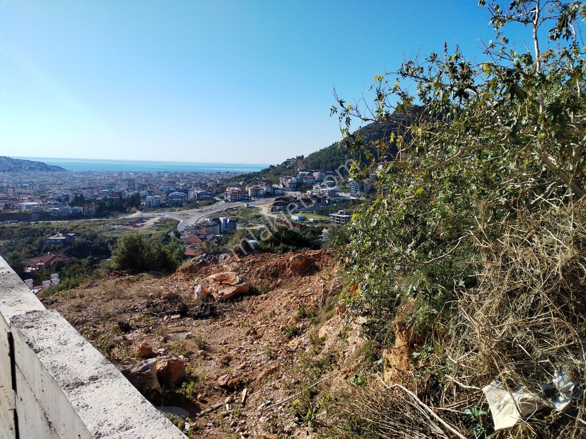 Alanya Cikcilli Mahallesinde Satılık 523 M2 İmarlı Arsa - Görsel 9
