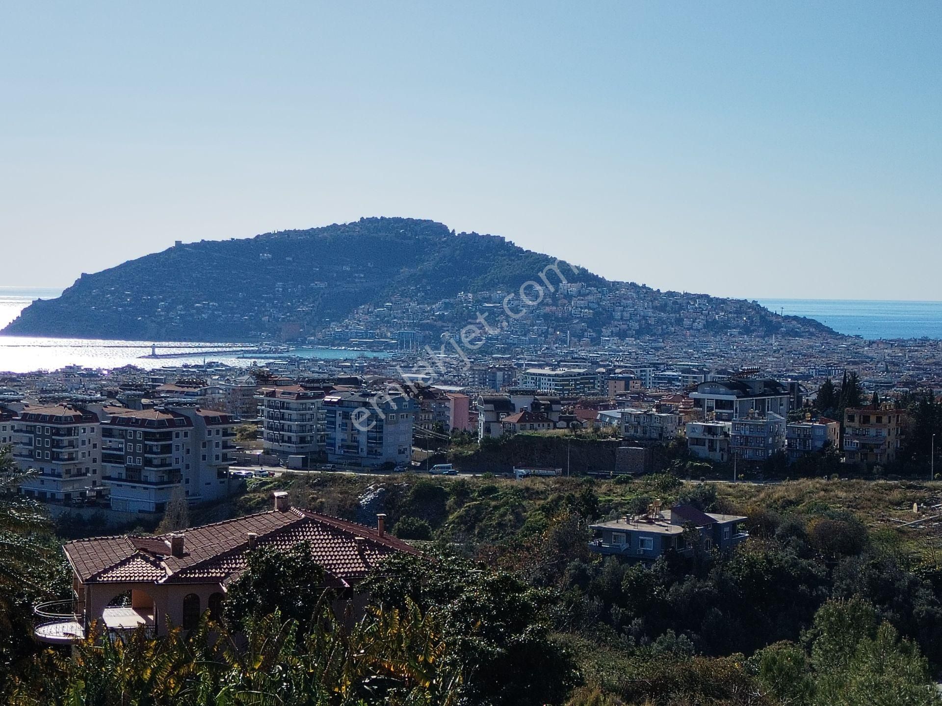 Alanya Cikcilli Mahallesinde Satılık 523 M2 İmarlı Arsa