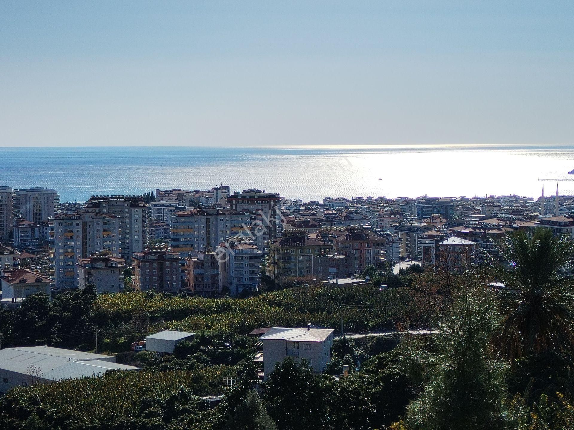 Alanya Cikcilli Mahallesinde Satılık 523 M2 İmarlı Arsa - Görsel 7