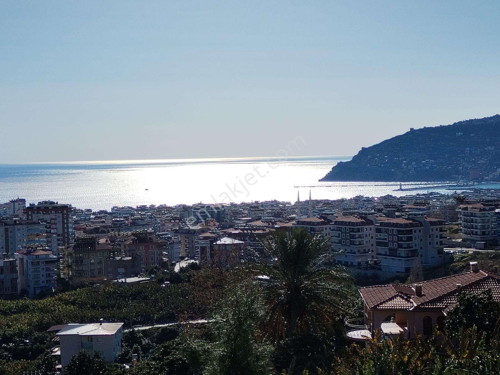 Alanya Cikcilli Mahallesinde Satılık 523 M2 İmarlı Arsa - Görsel 5