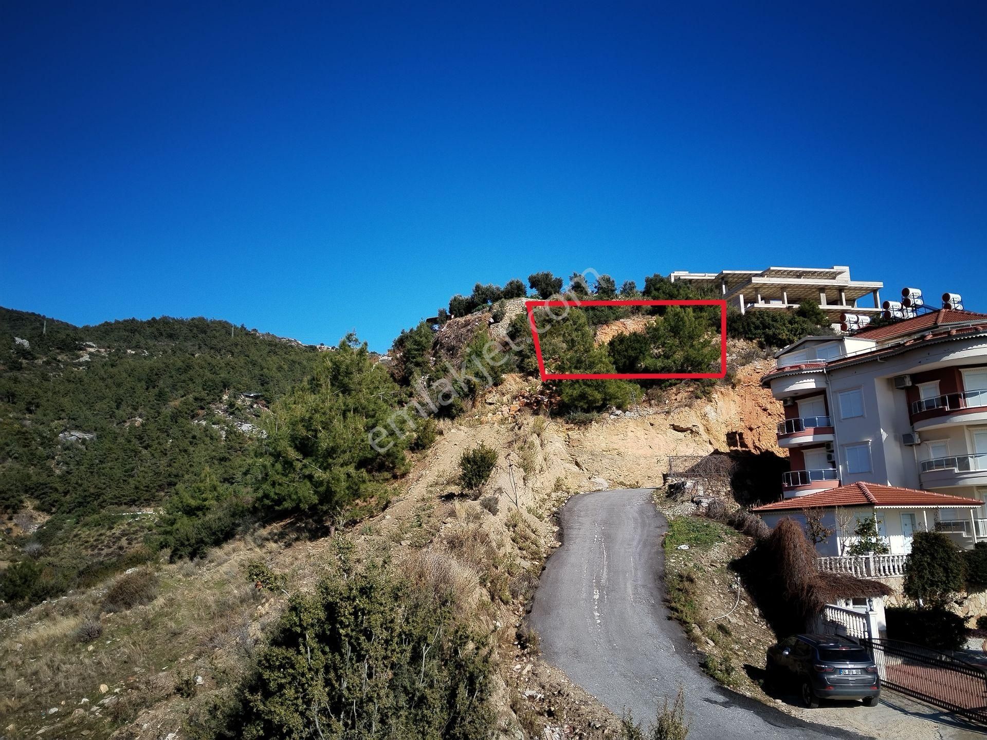 Alanya Cikcilli Mahallesinde Satılık 523 M2 İmarlı Arsa - Görsel 2