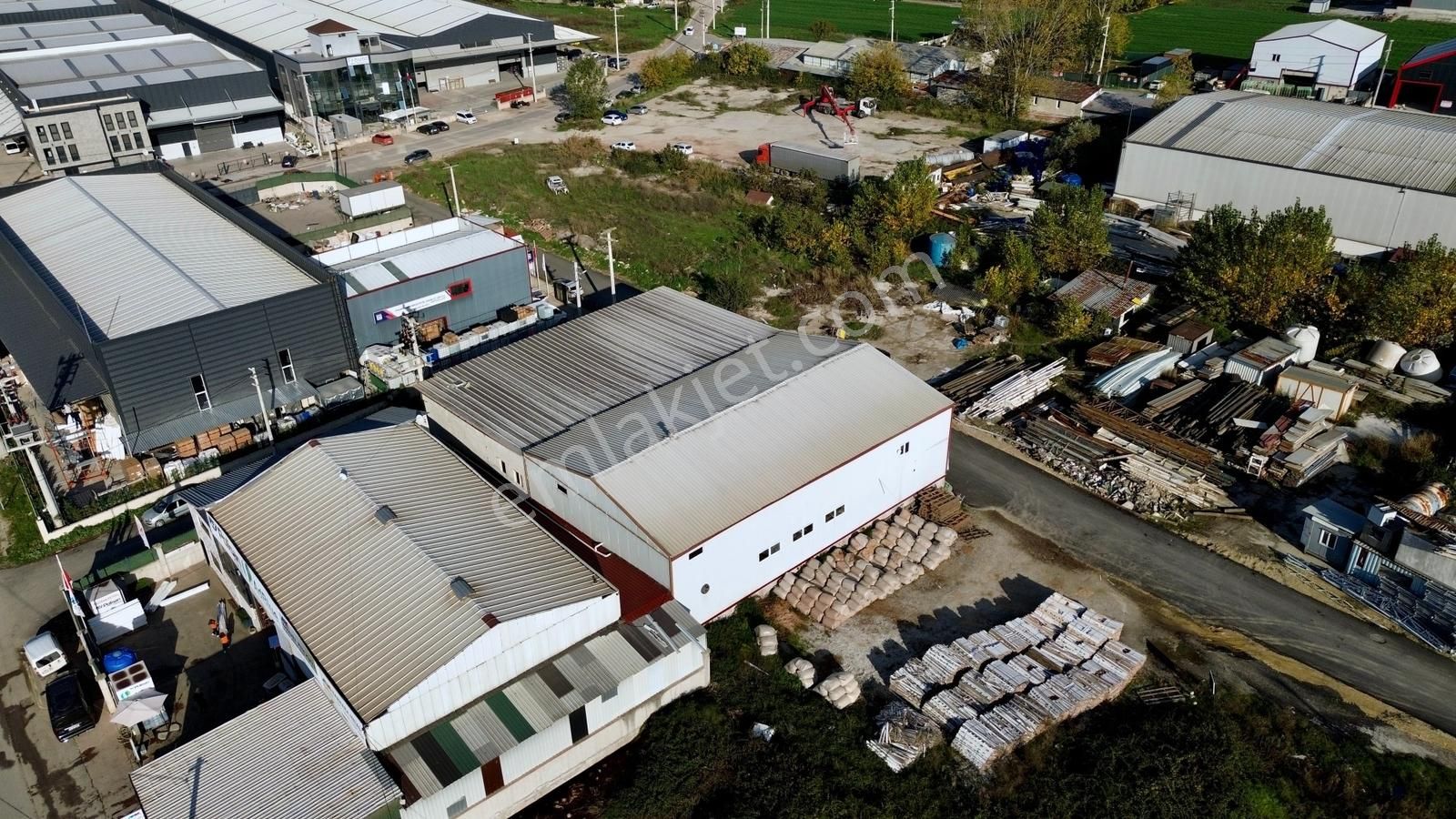 Yeniköy Sepetlipınarda 2 Adet 800 M2 Satılık Depo&antrepo - Görsel 26