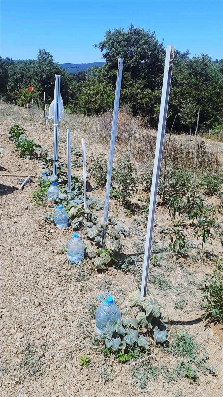 İzmit Kulmahmut 1.260 M2 Satılık Arazi - Görsel 3