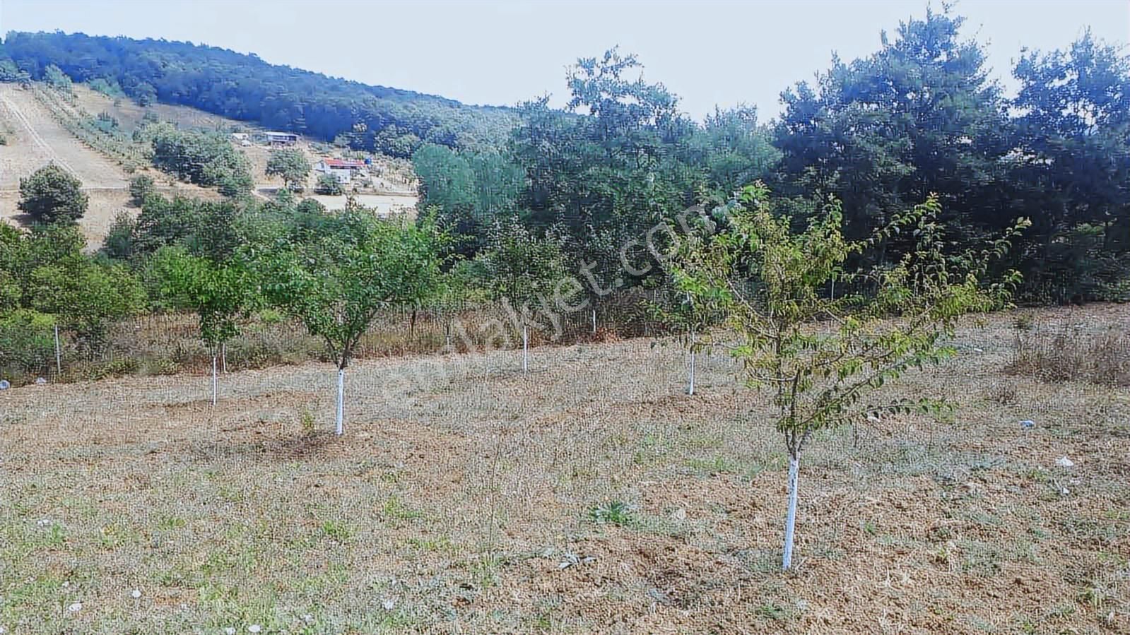 İzmit Kulmahmut 1.260 M2 Satılık Arazi