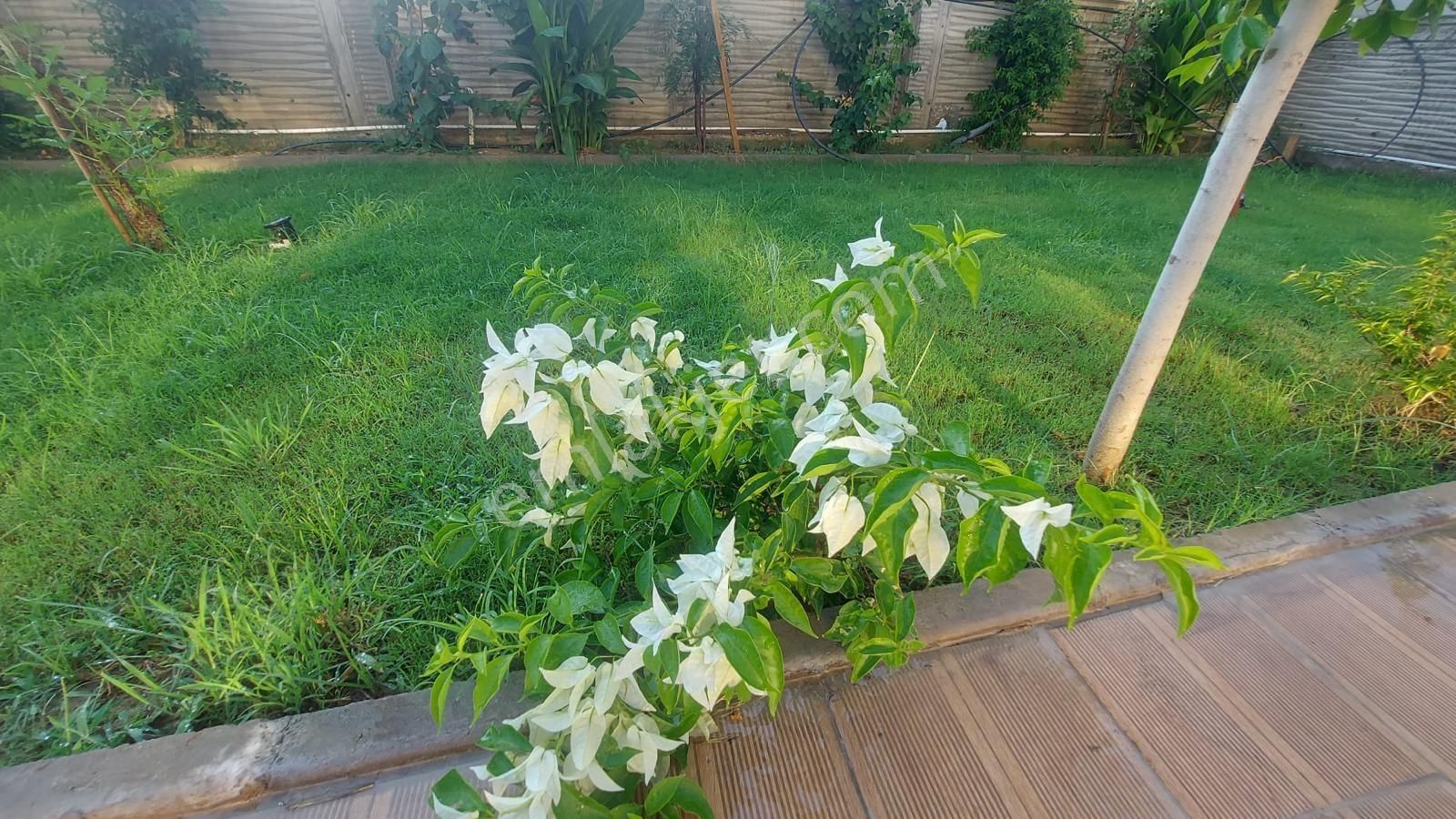 Pazarcı Mahallesi Satılık 1+1 Ful Aktiviteli - Görsel 20