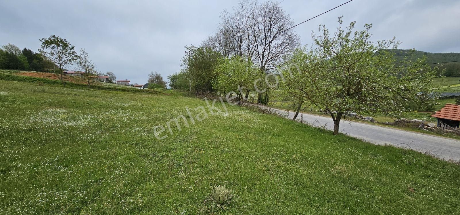 Acaradan İznik Candarlı'da Sizmari Yakınında 2.642m² İmarlı Arsa - Görsel 35