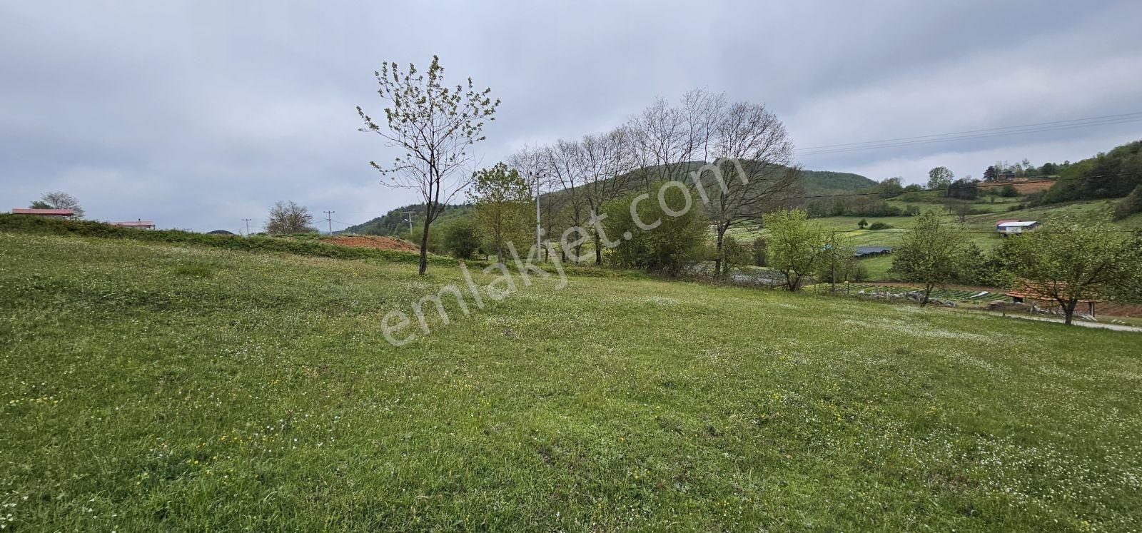 Acaradan İznik Candarlı'da Sizmari Yakınında 2.642m² İmarlı Arsa - Görsel 8
