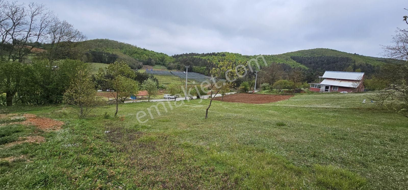 Acaradan İznik Candarlı'da Sizmari Yakınında 2.642m² İmarlı Arsa - Görsel 21