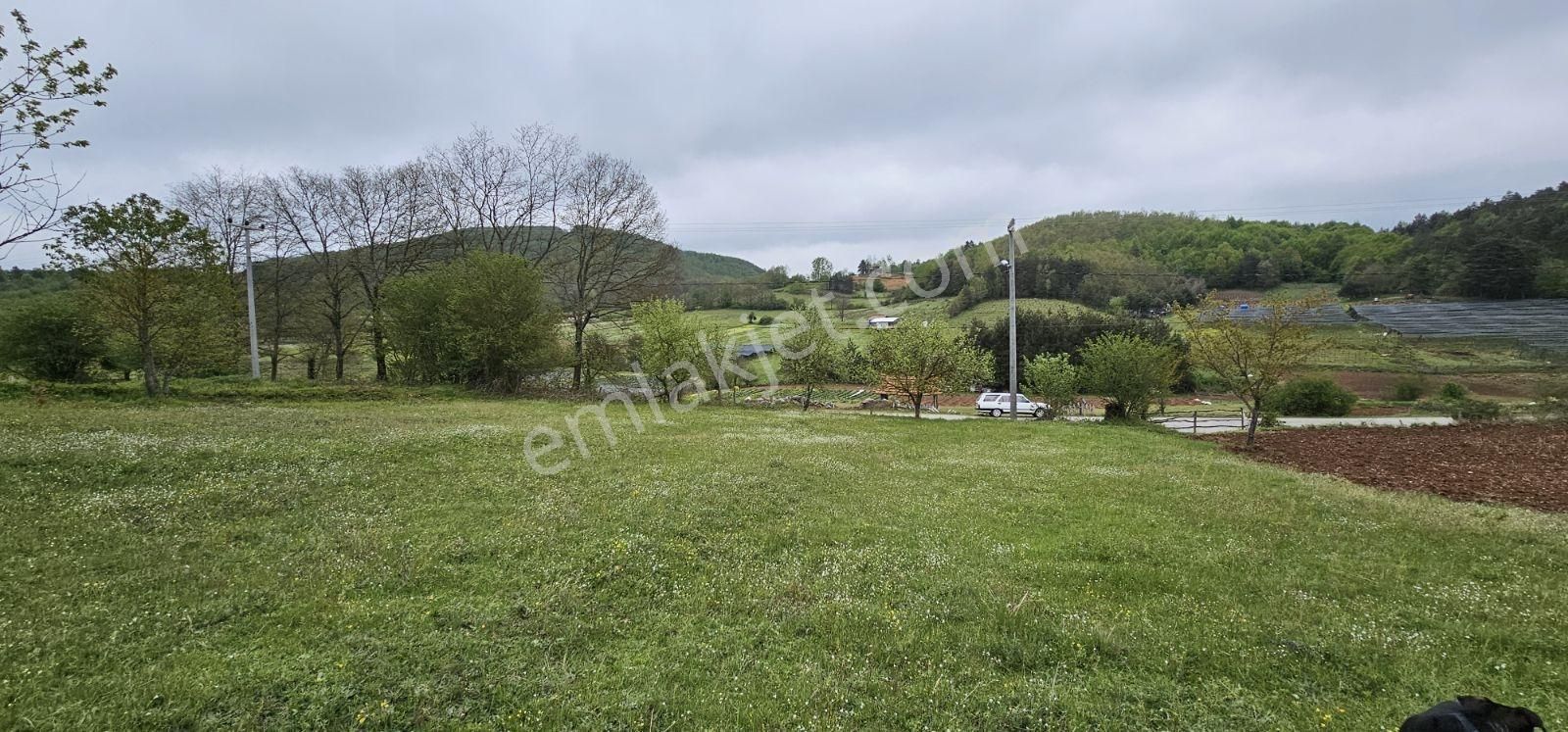 Acaradan İznik Candarlı'da Sizmari Yakınında 2.642m² İmarlı Arsa - Görsel 33