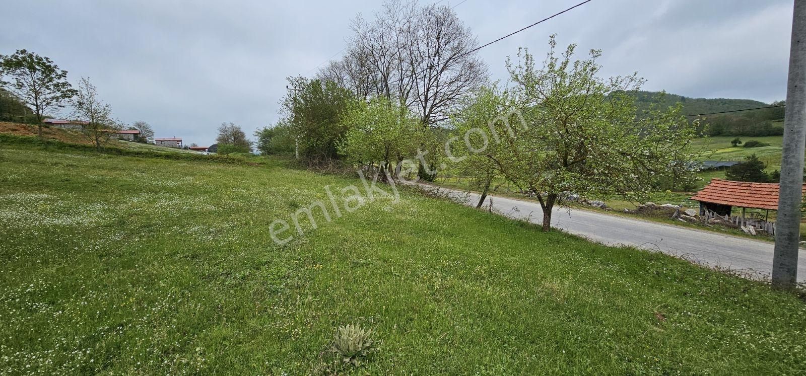 Acaradan İznik Candarlı'da Sizmari Yakınında 2.642m² İmarlı Arsa - Görsel 5