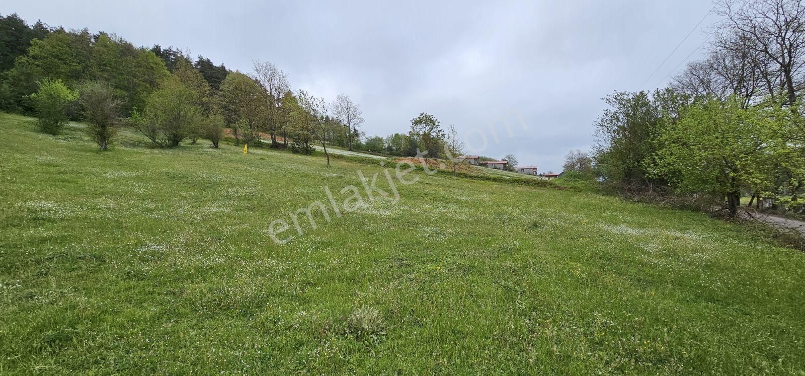 Acaradan İznik Candarlı'da Sizmari Yakınında 2.642m² İmarlı Arsa - Görsel 29