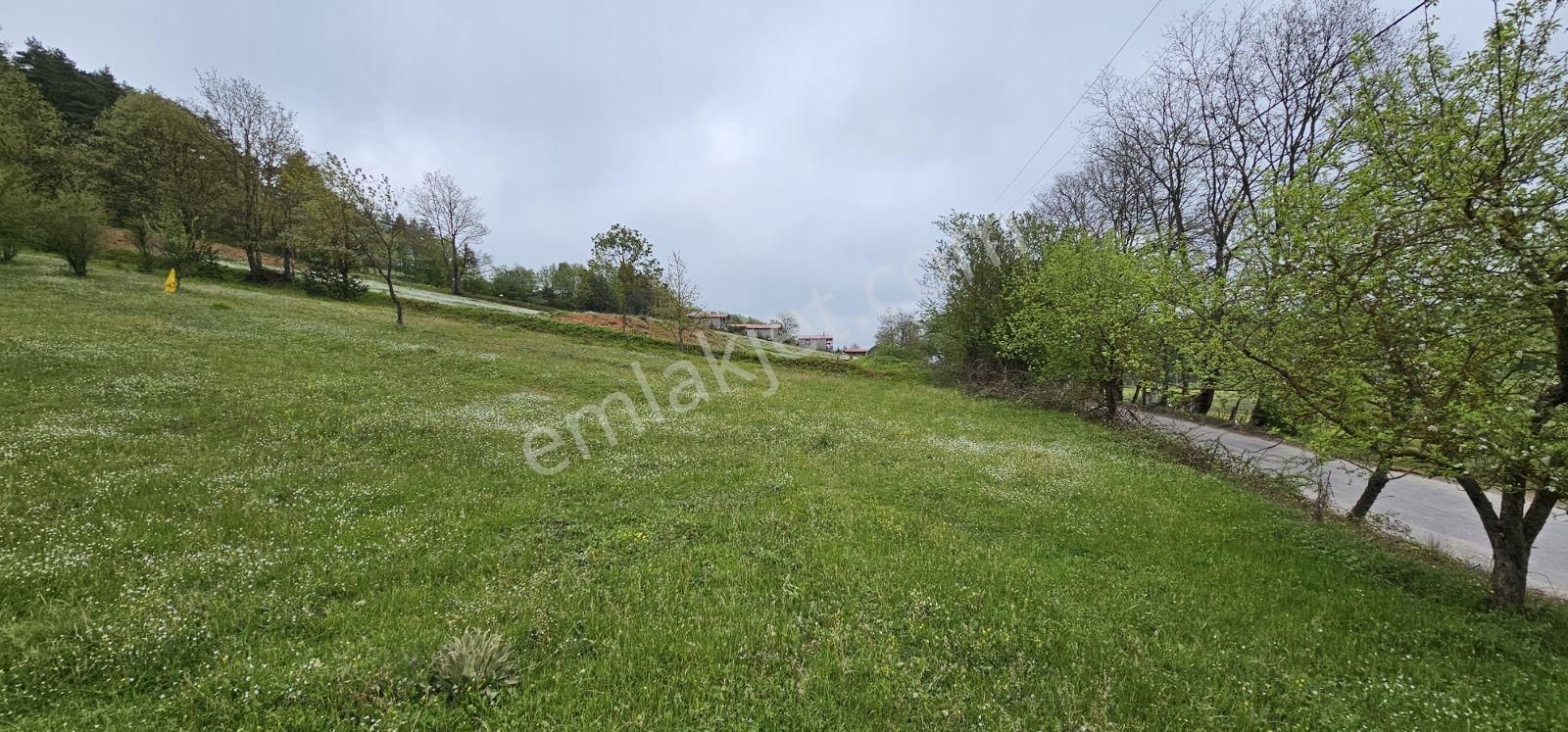 Acaradan İznik Candarlı'da Sizmari Yakınında 2.642m² İmarlı Arsa - Görsel 2