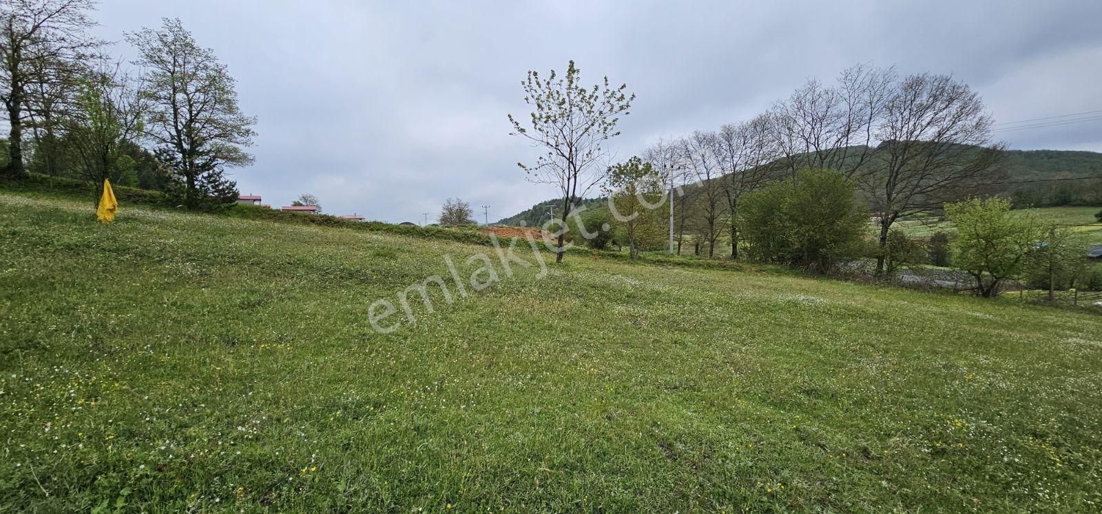 Acaradan İznik Candarlı'da Sizmari Yakınında 2.642m² İmarlı Arsa - Görsel 19