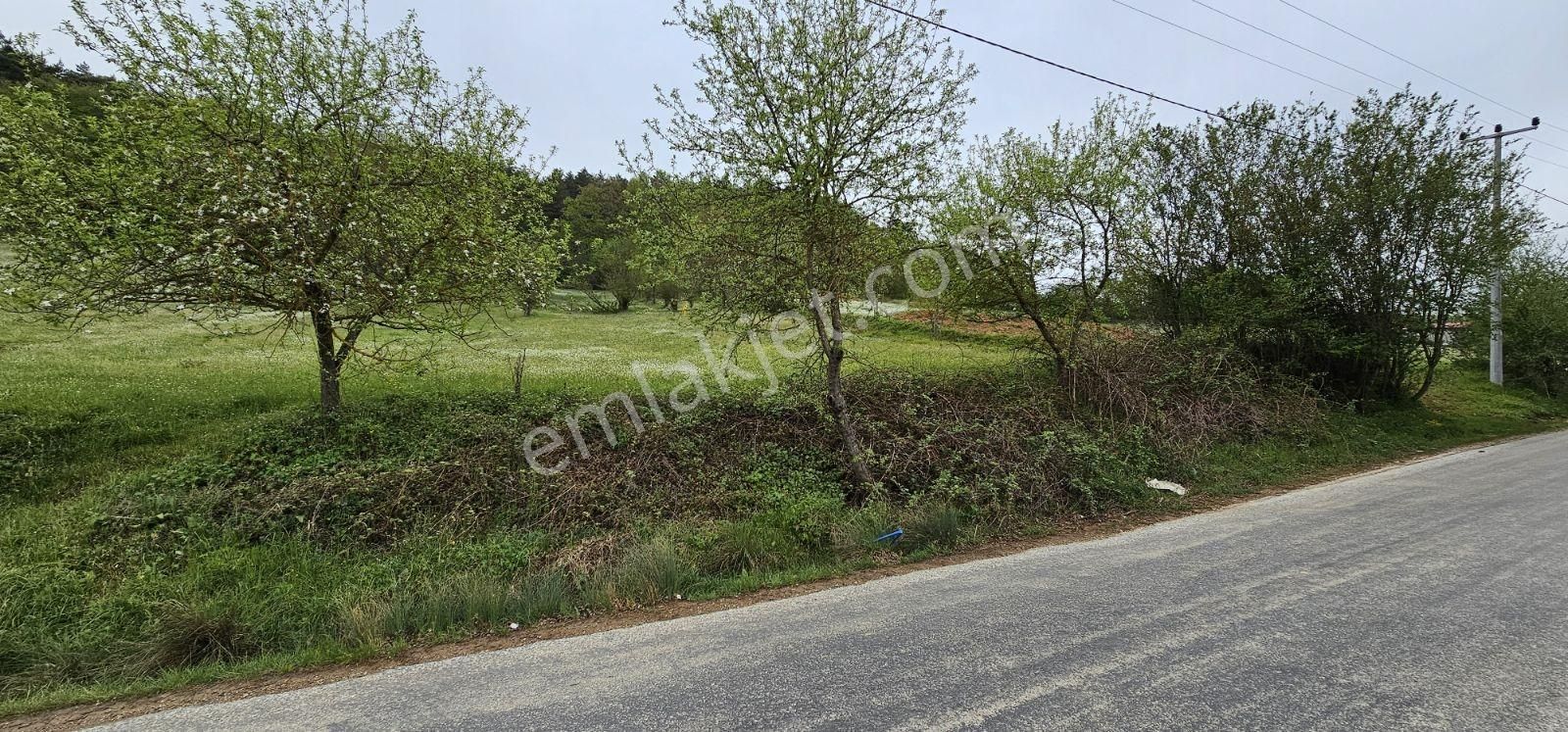 Acaradan İznik Candarlı'da Sizmari Yakınında 2.642m² İmarlı Arsa