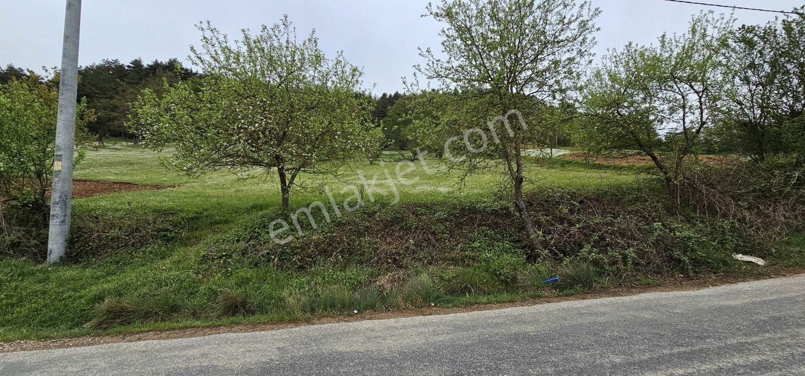 Acaradan İznik Candarlı'da Sizmari Yakınında 2.642m² İmarlı Arsa - Görsel 26