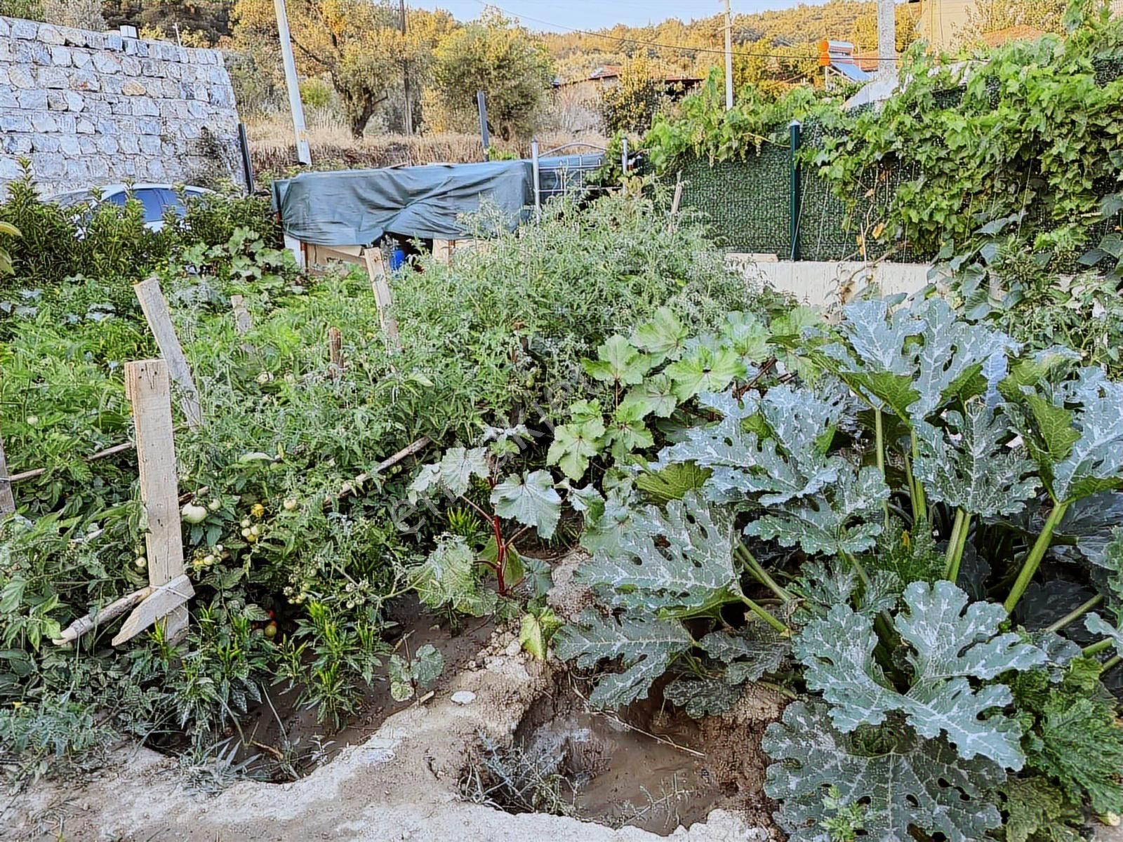 İlhan Rodoplu'dan Torbalı Helvacı Satılık Resmi Tapulu Köy Evi - Görsel 22