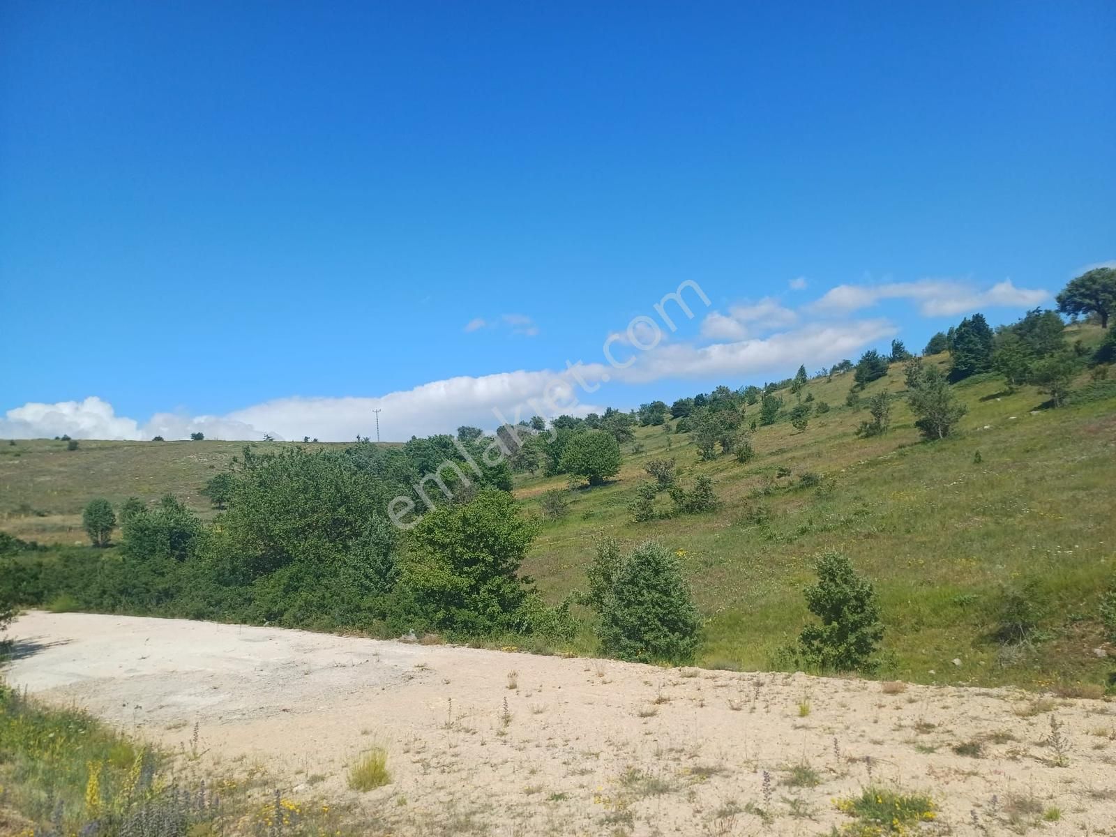 Tokat / Bereketli Köy Yolu Üzerinde 2425m2 Satılık Arazi - Görsel 7