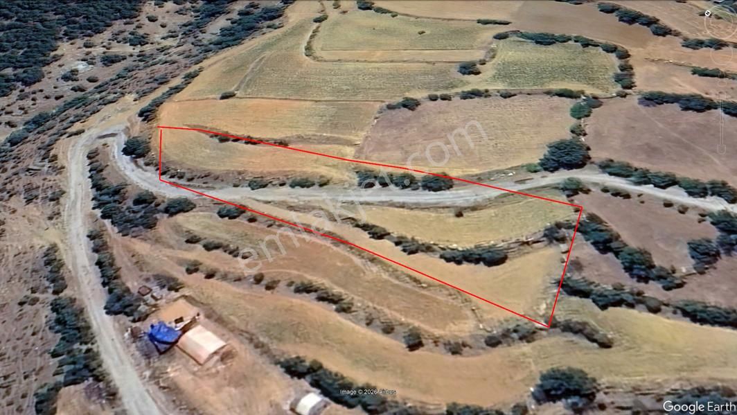 Aydın Karacasu Yaylada Hobi Bahçesi 3,600 M2 - Görsel 3