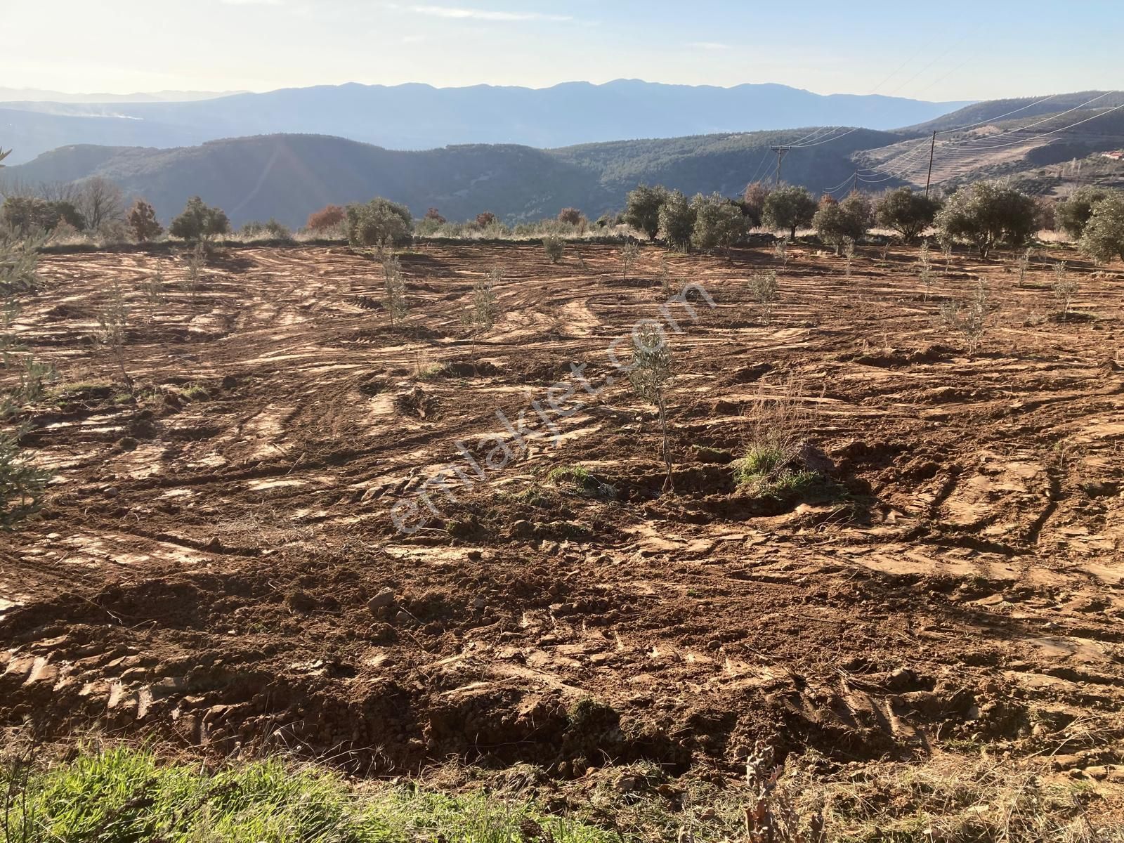 Aydın Karacasu Yaylada Hobi Bahçesi 3,600 M2 - Görsel 15