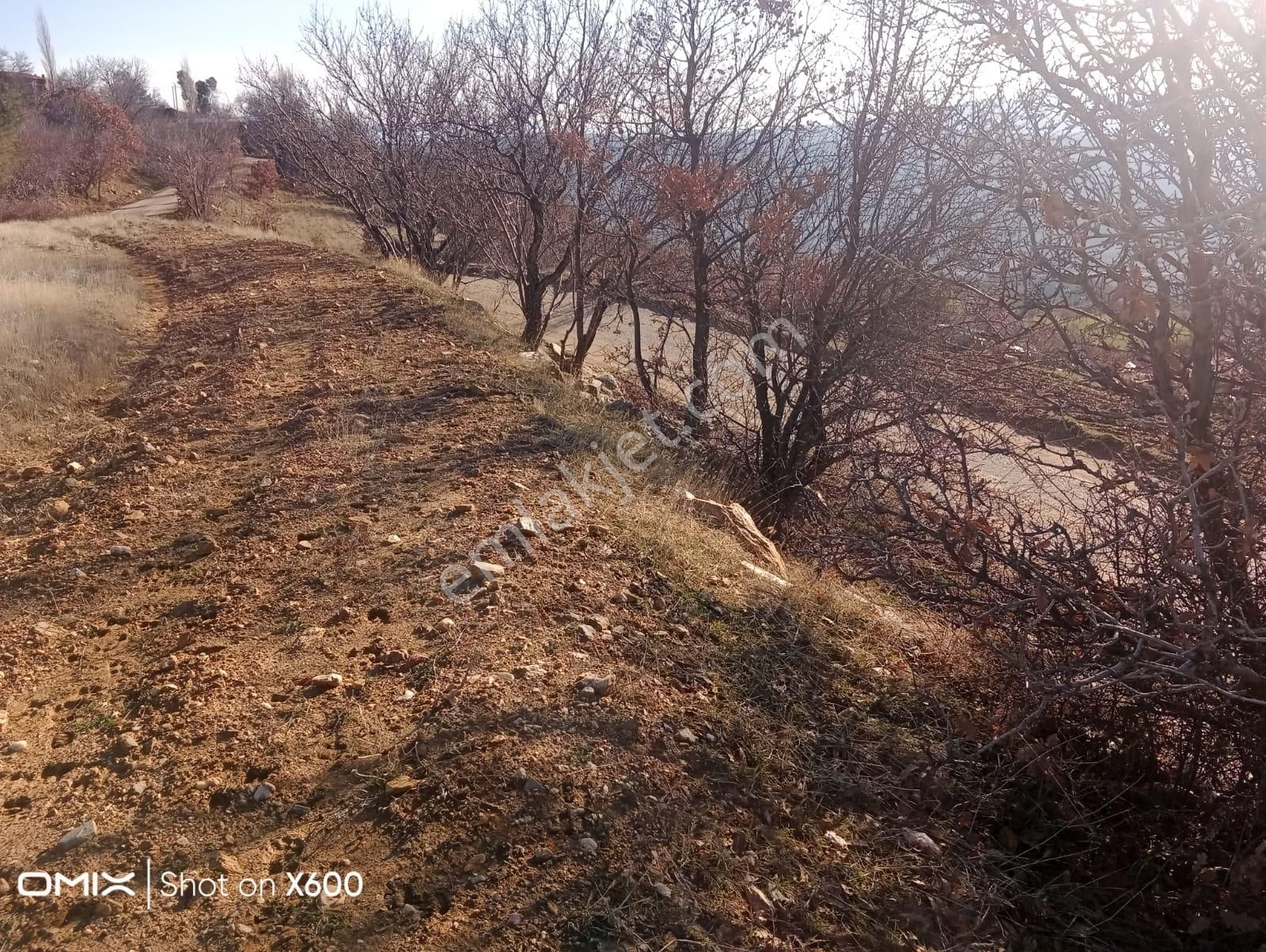 Aydın Karacasu Yaylada Hobi Bahçesi 3,600 M2