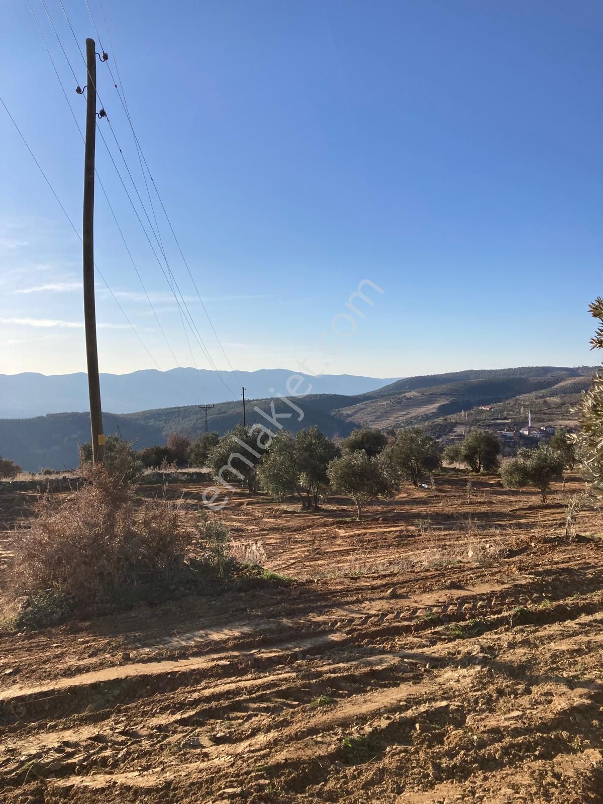 Aydın Karacasu Yaylada Hobi Bahçesi 3,600 M2 - Görsel 13