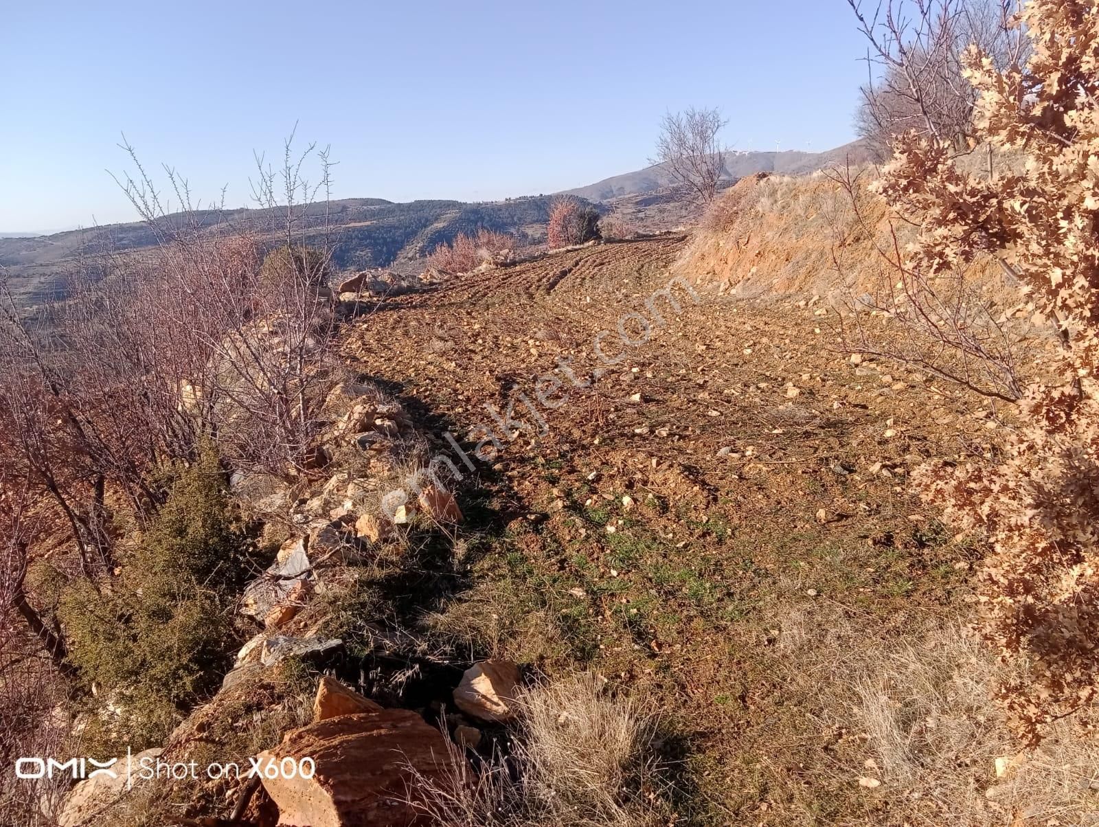 Aydın Karacasu Yaylada Hobi Bahçesi 3,600 M2 - Görsel 4