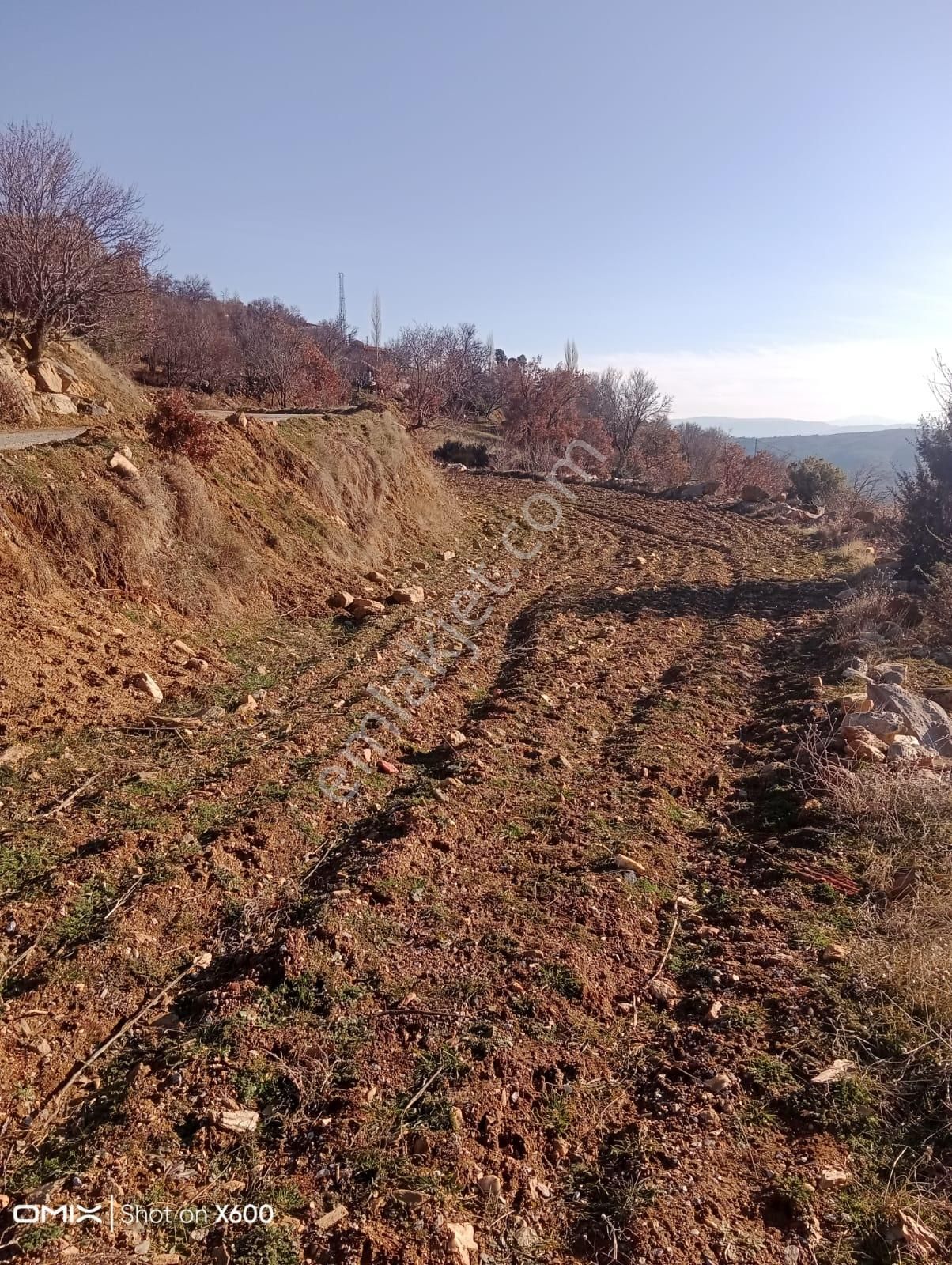 Aydın Karacasu Yaylada Hobi Bahçesi 3,600 M2 - Görsel 5