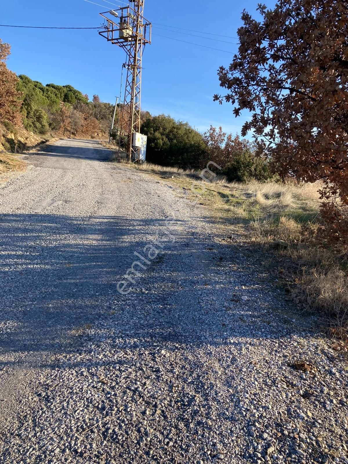 Aydın Karacasu Yaylada Hobi Bahçesi 3,600 M2 - Görsel 6