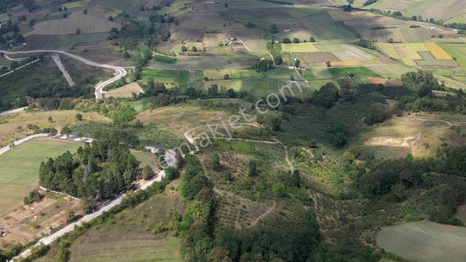 Tarcanlar'dan İzmit Güvercinlik'te Satılık 18 Dönüm Fındıklık - Görsel 5