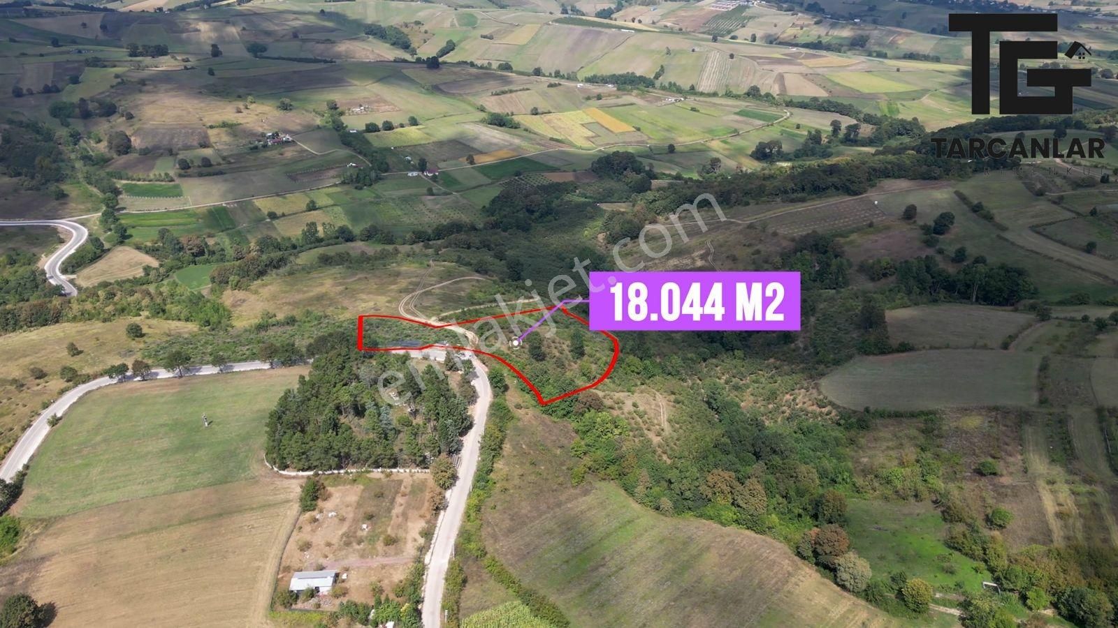 Tarcanlar'dan İzmit Güvercinlik'te Satılık 18 Dönüm Fındıklık - Görsel 7