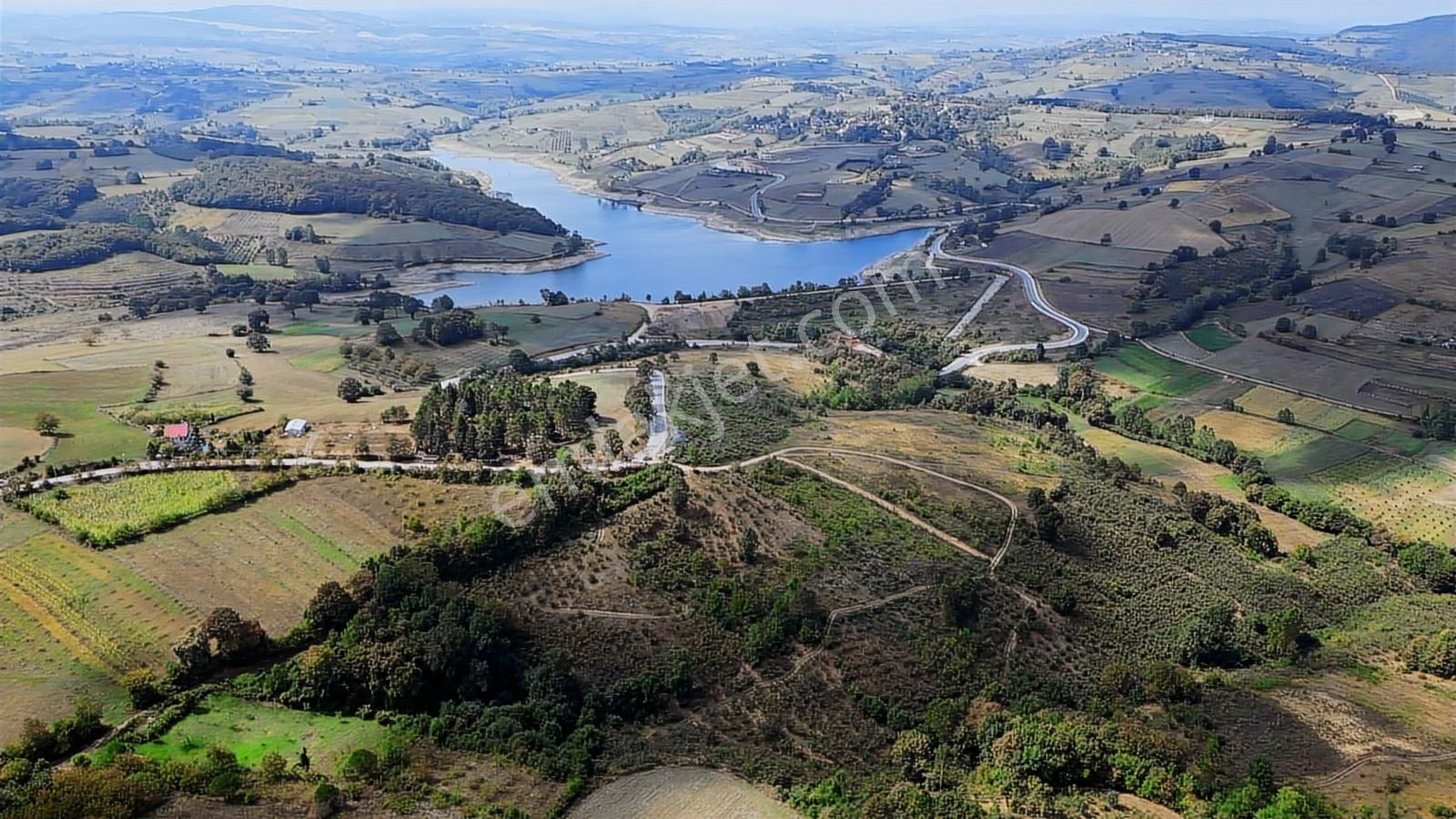 Tarcanlar'dan İzmit Güvercinlik'te Satılık 18 Dönüm Fındıklık - Görsel 2