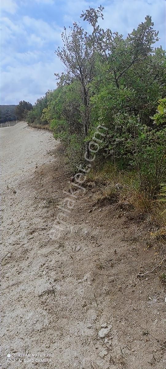 Ata İnşaat Gyd Çatalca Dağyenicede Satılık Arsa - Görsel 4