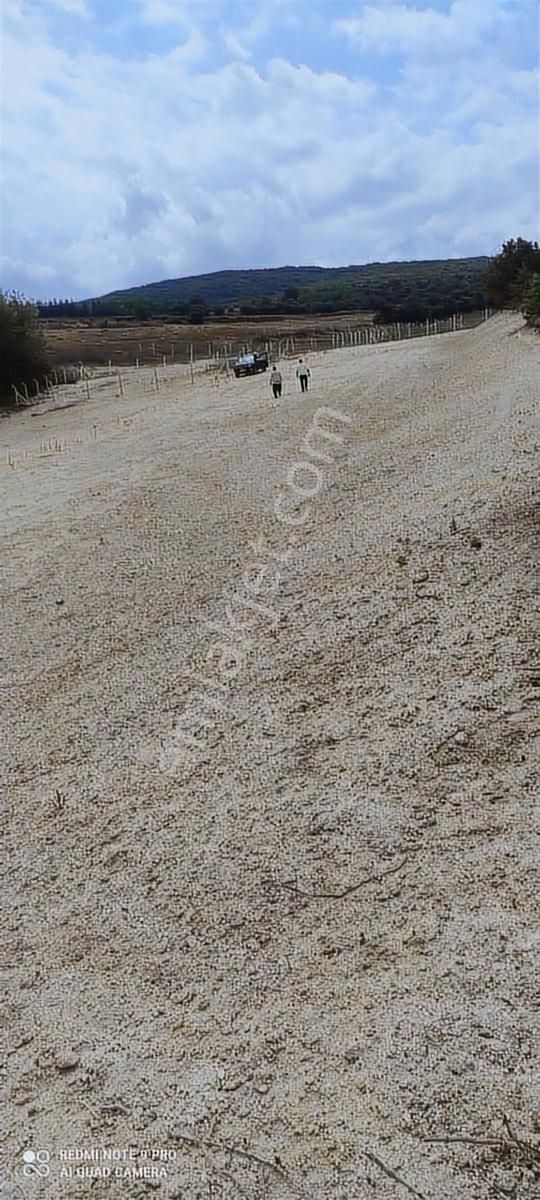 Ata İnşaat Gyd Çatalca Dağyenicede Satılık Arsa - Görsel 3