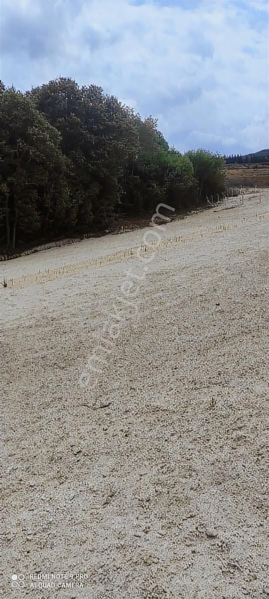 Ata İnşaat Gyd Çatalca Dağyenicede Satılık Arsa - Görsel 5