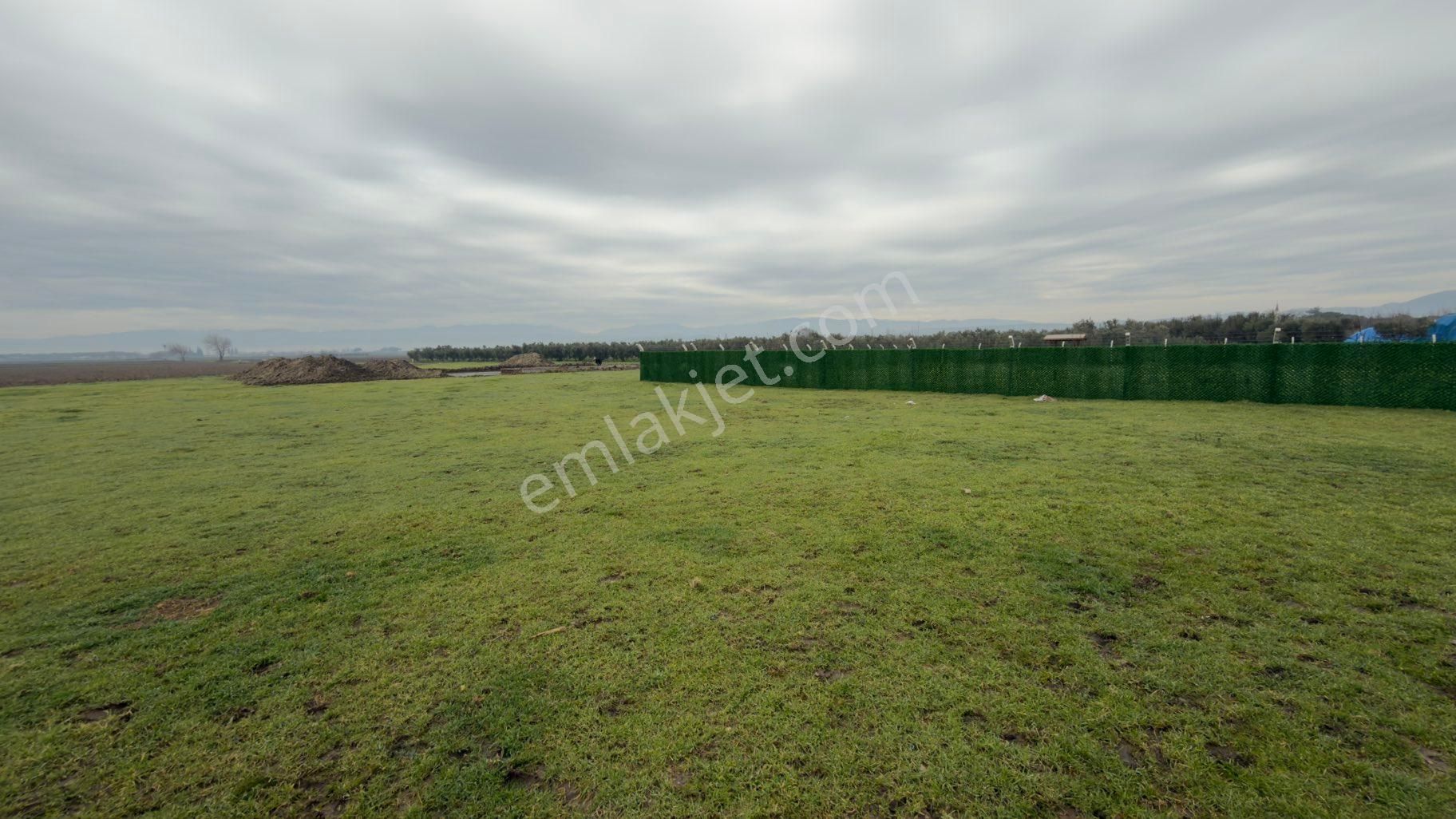 Bergama Kadıköy Mahallesi İmarlı Arsa - Görsel 16