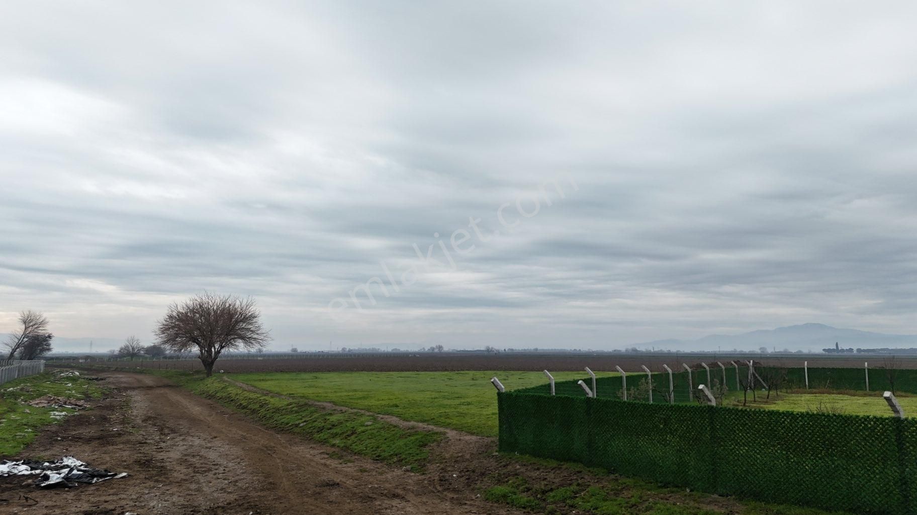Bergama Kadıköy Mahallesi İmarlı Arsa - Görsel 11