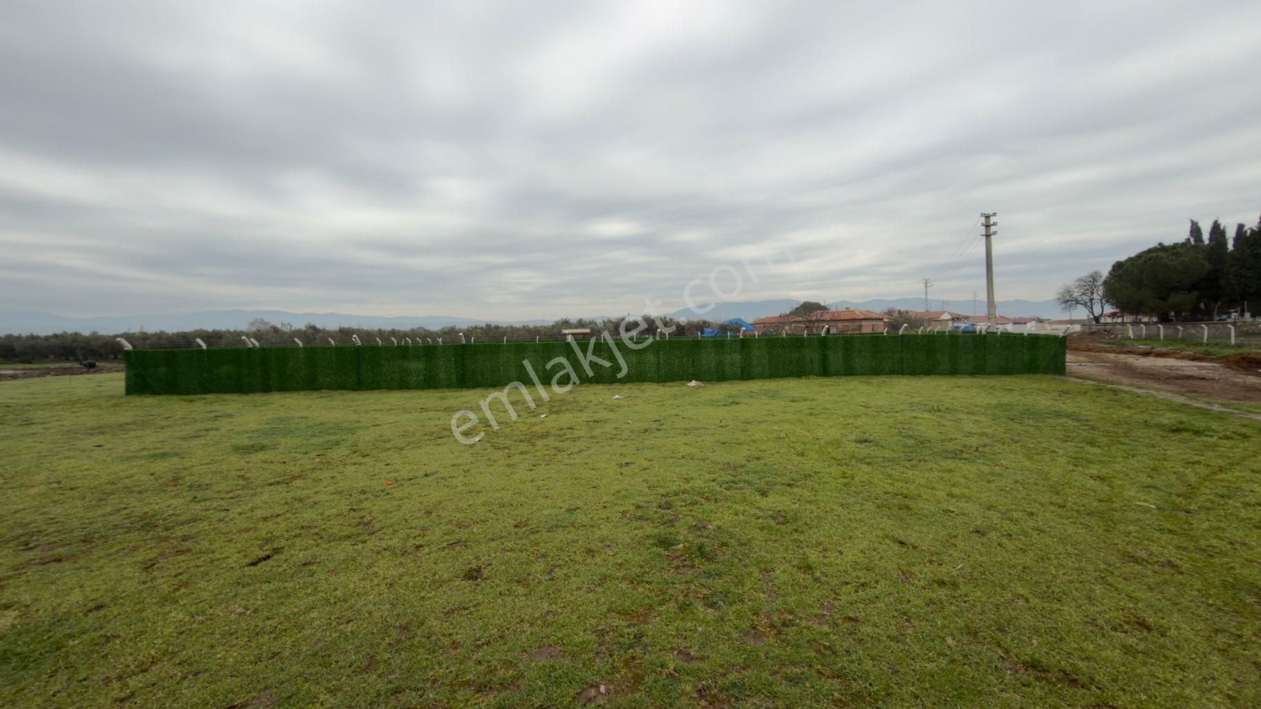 Bergama Kadıköy Mahallesi İmarlı Arsa - Görsel 12