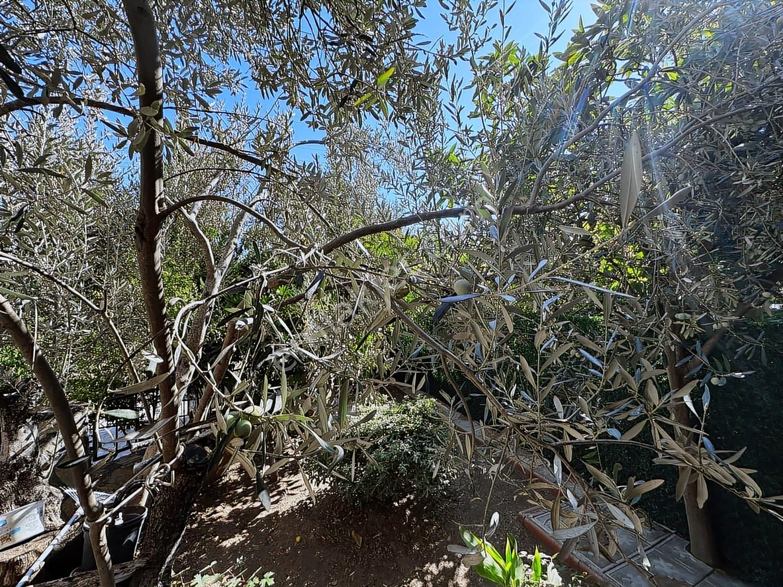 Çanakkale Küçükkuyuda Site İçinde Bahçeli Satılık Villa - Görsel 32