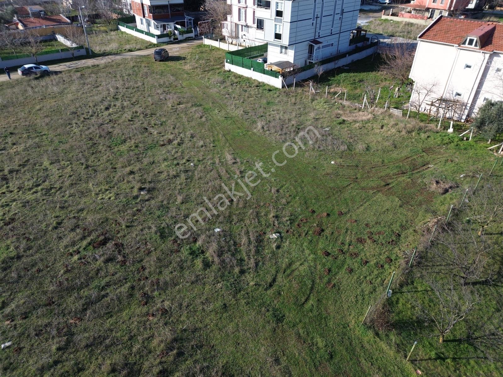 Tekirdağ Yeniçiftlik'te Parka Cephe Yanyana 350 M2 Arsalar - Görsel 9