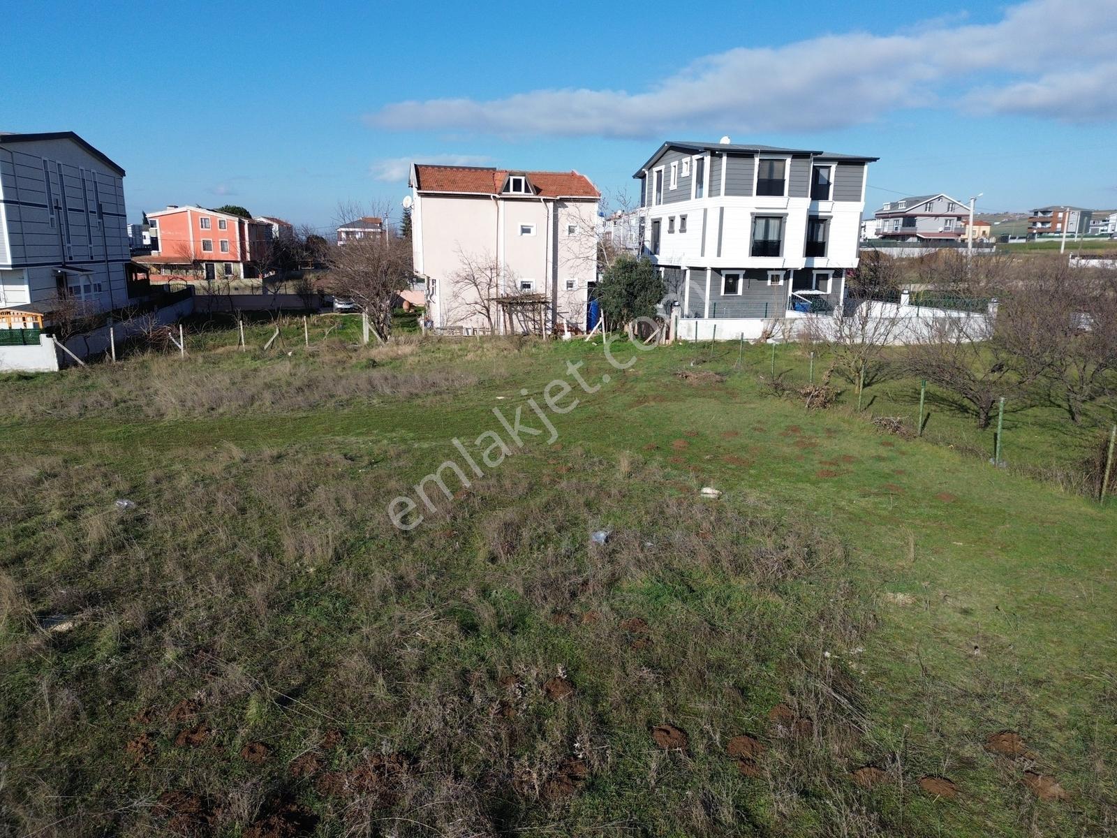 Tekirdağ Yeniçiftlik'te Parka Cephe Yanyana 350 M2 Arsalar - Görsel 11