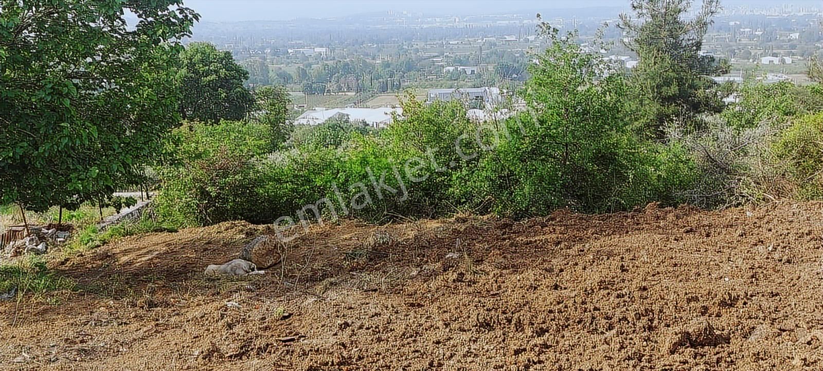 Tahtalıda Manzaraya Hakim Kadastro Yoluna Cepheli 745 M2 Arazi - Görsel 24