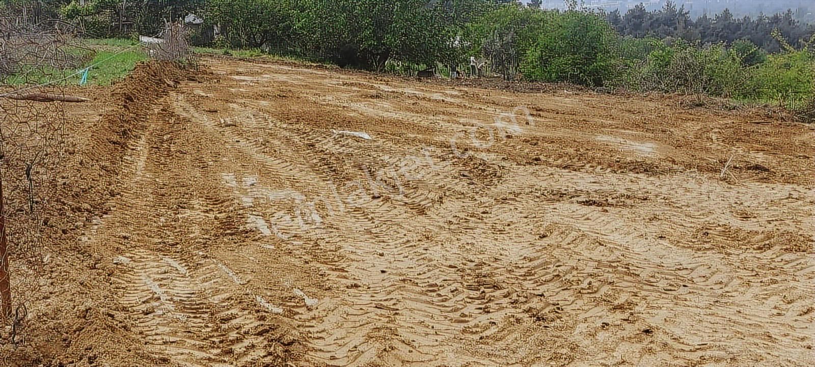 Tahtalıda Manzaraya Hakim Kadastro Yoluna Cepheli 745 M2 Arazi - Görsel 16