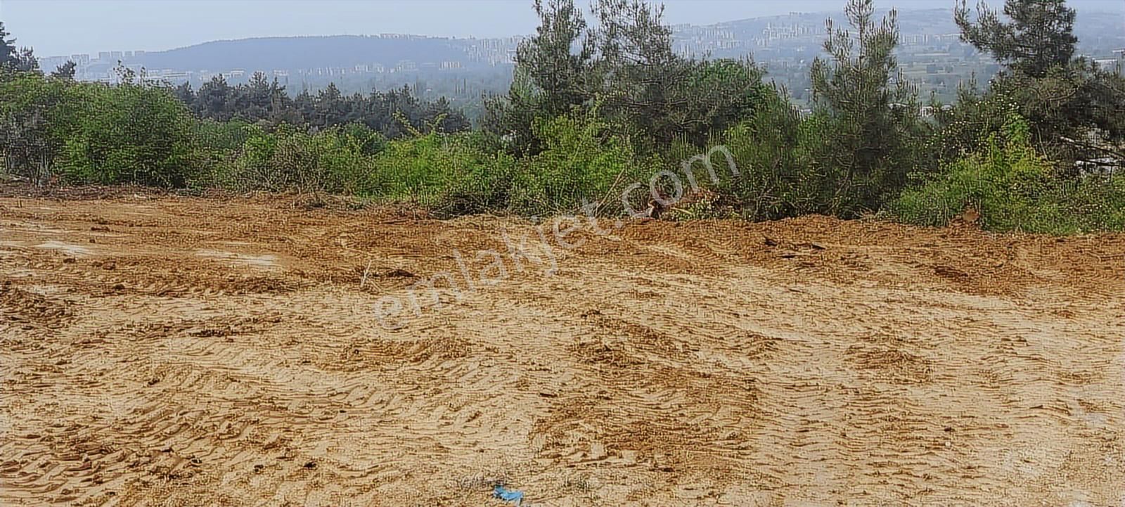 Tahtalıda Manzaraya Hakim Kadastro Yoluna Cepheli 745 M2 Arazi - Görsel 13