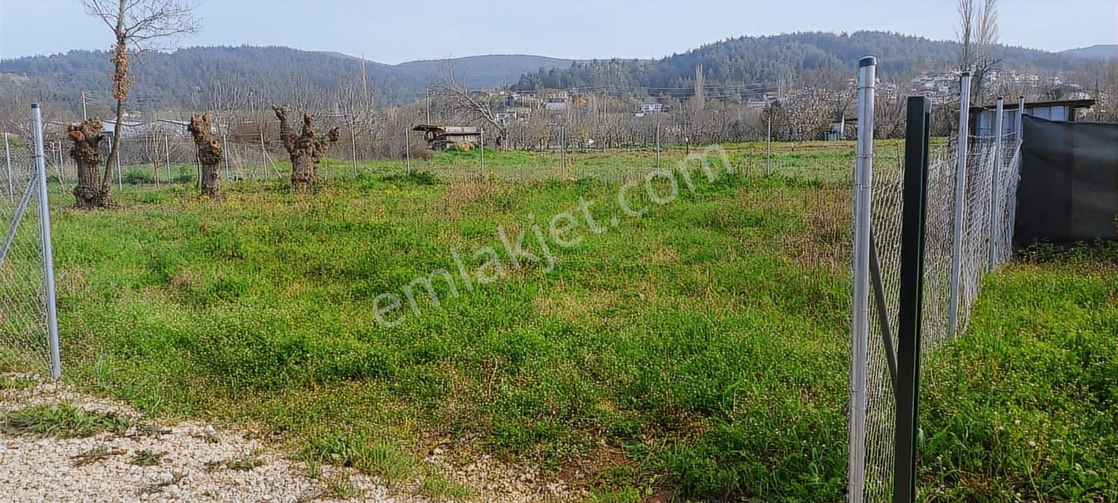 Kayapa Da Kadastro Yoluna Cephe Tel Örgülü 560 M2 Hobi Bahçesi - Görsel 33