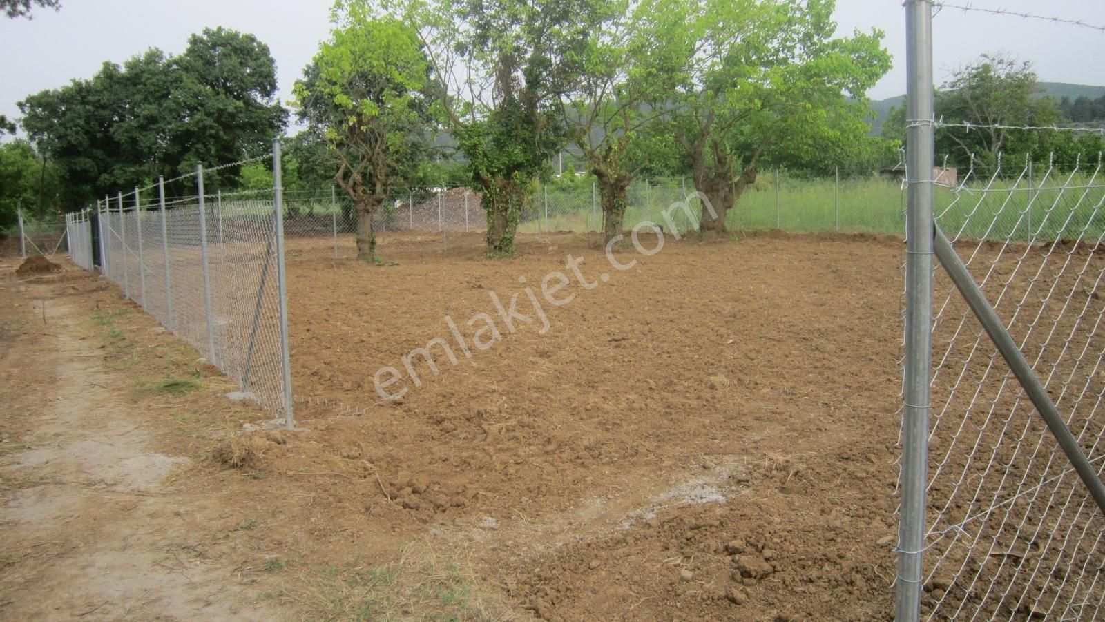 Kayapa Da Kadastro Yoluna Cephe Tel Örgülü 560 M2 Hobi Bahçesi