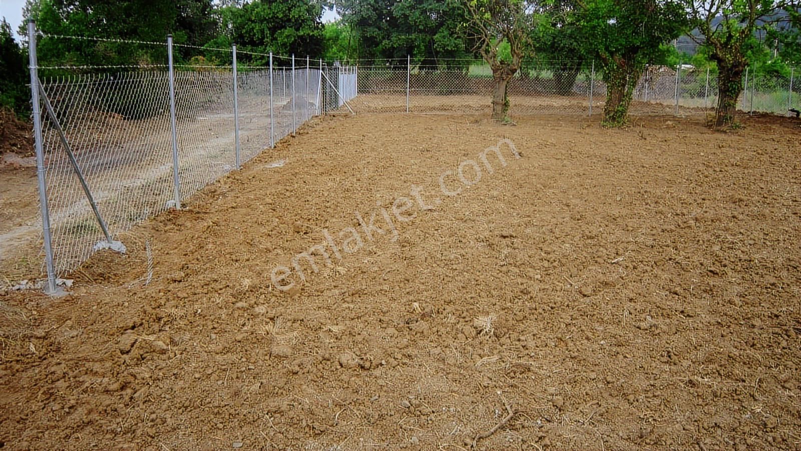 Kayapa Da Kadastro Yoluna Cephe Tel Örgülü 560 M2 Hobi Bahçesi - Görsel 4