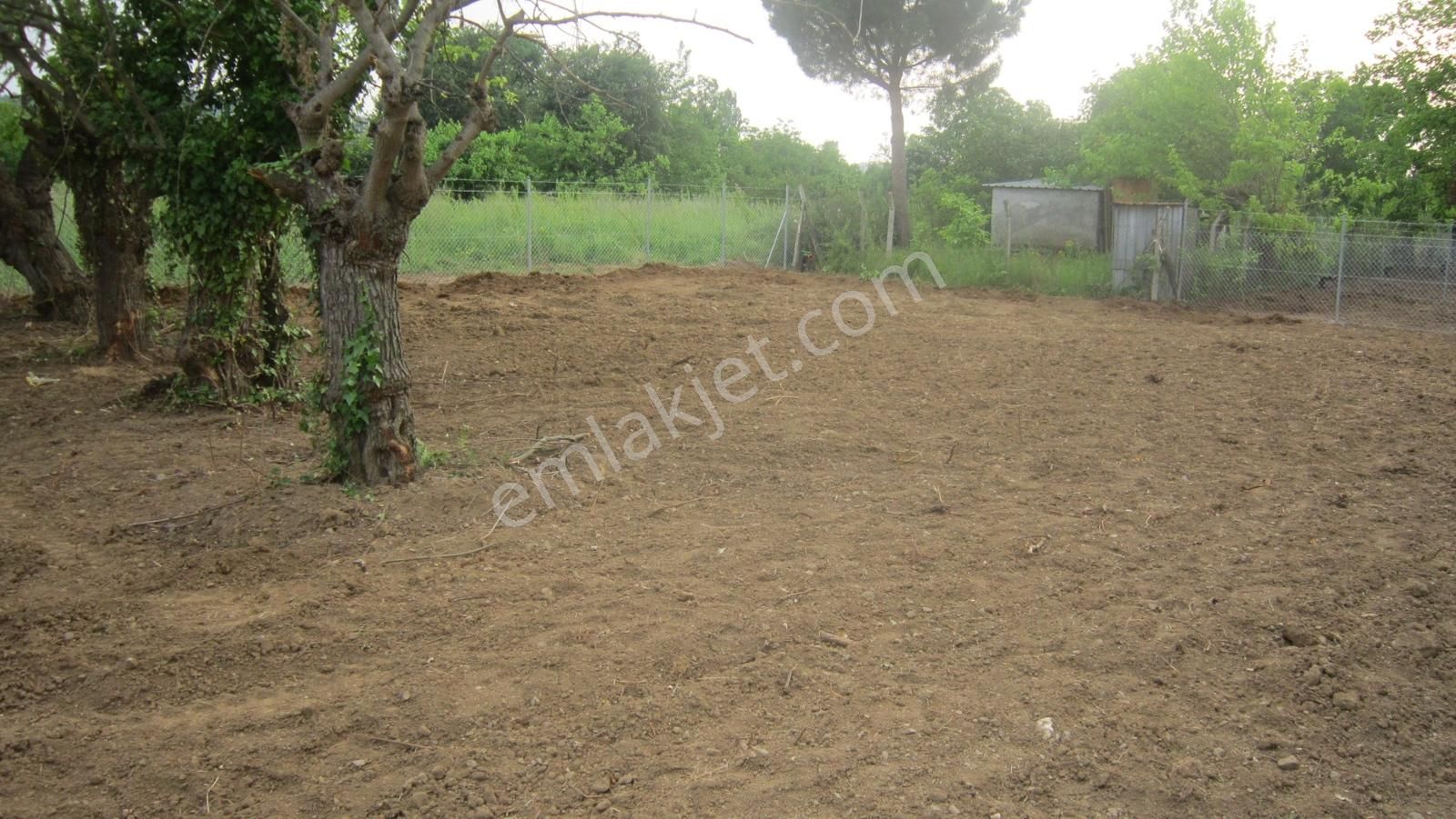 Kayapa Da Kadastro Yoluna Cephe Tel Örgülü 560 M2 Hobi Bahçesi - Görsel 24