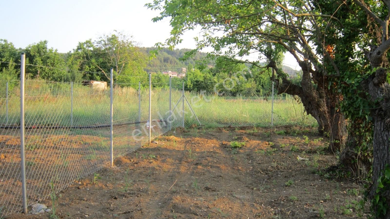 Kayapa Da Kadastro Yoluna Cephe Tel Örgülü 560 M2 Hobi Bahçesi - Görsel 6