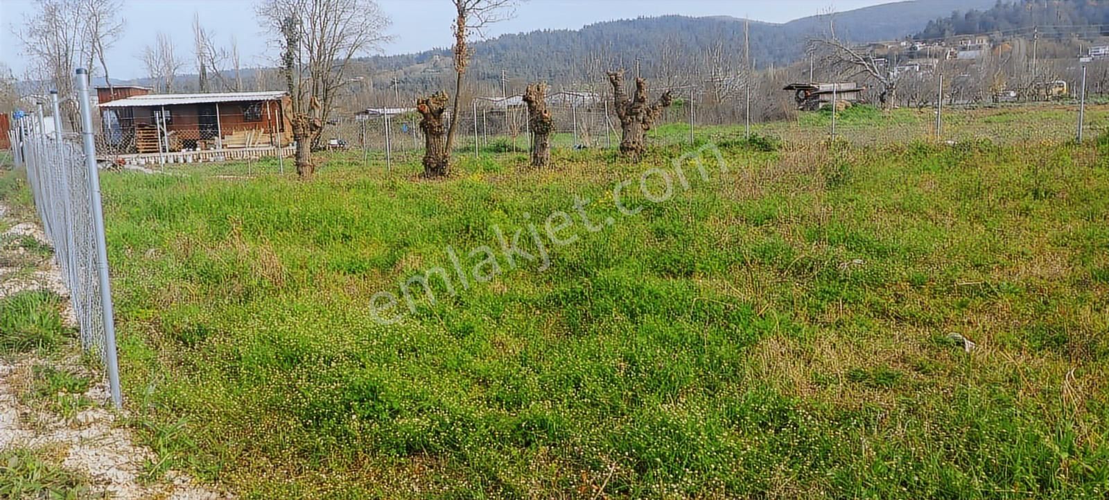 Kayapa Da Kadastro Yoluna Cephe Tel Örgülü 560 M2 Hobi Bahçesi - Görsel 11