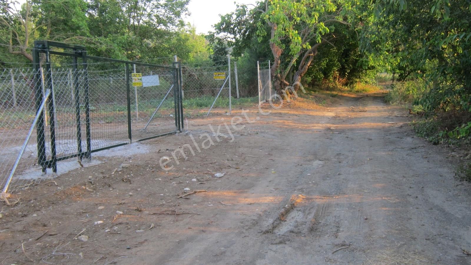 Kayapa Da Kadastro Yoluna Cephe Tel Örgülü 560 M2 Hobi Bahçesi - Görsel 22